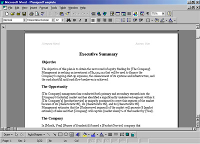 Business Plan Template